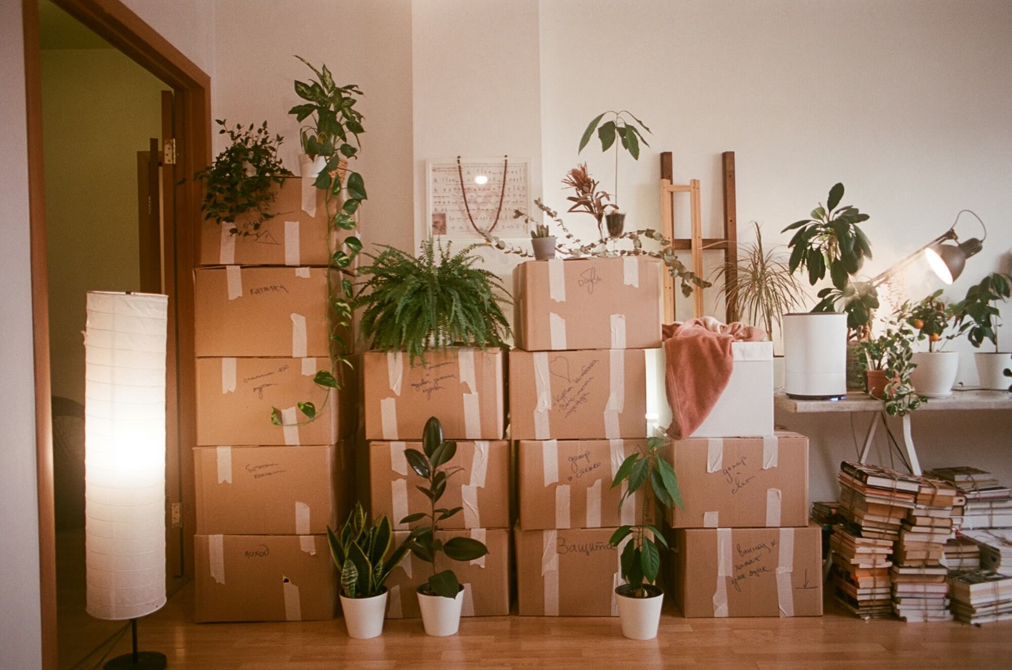 Case Study: Business Funding Support for a Canadian Moving Company